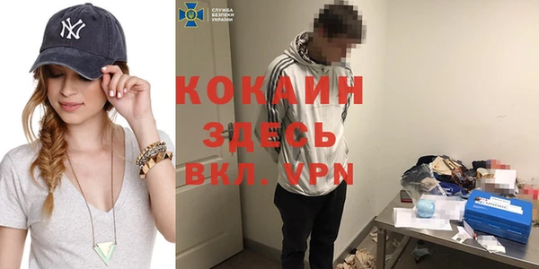 прущие грибы Нефтекумск