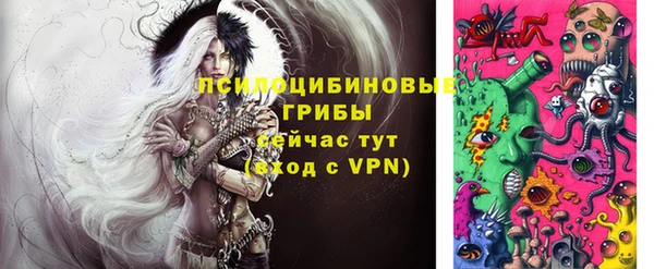 прущие грибы Нефтекумск