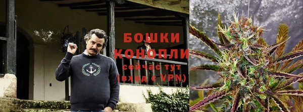 крисы Нефтегорск