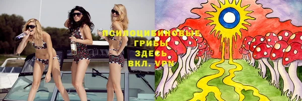 крисы Нефтегорск