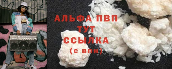 прущие грибы Нефтекумск