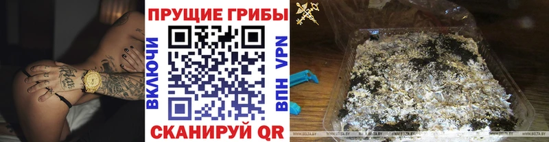 Галлюциногенные грибы ЛСД  Шахты 